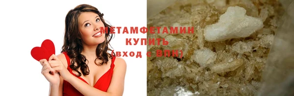 прущие грибы Зеленодольск