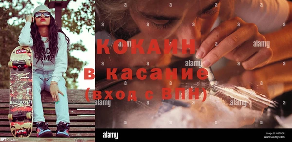 твердый Иннополис