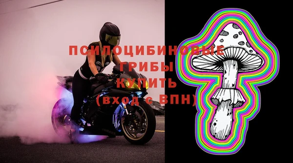 прущие грибы Зеленодольск
