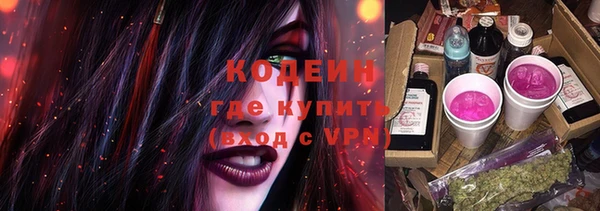 твердый Иннополис