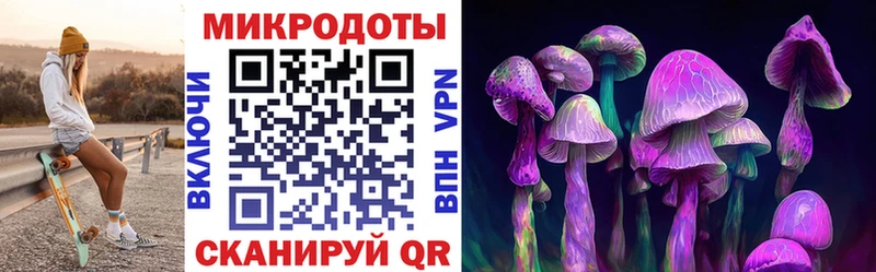 Псилоцибиновые грибы Psilocybine cubensis  Купить где  Тавда 